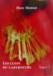 Les Clefs Du Labyrinthe - Tome 1