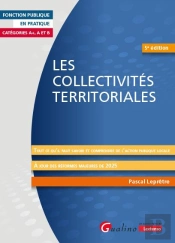 Les Collectivités Territoriales : Tout Ce Qu'Il Faut Savoir Et Comprendre De L'Action Publique Locale. À Jour Des Réformes Majeures De 2025