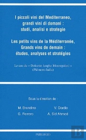 Les Conflits En Afrique