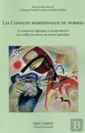 Les Conflits Horizontaux De Normes