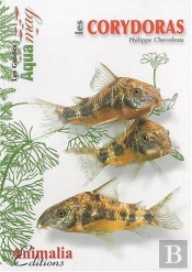 Les Corydoras