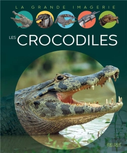 Bertrand.pt - Les Crocodiles