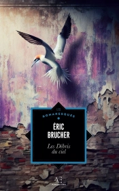 Les Débris Du Ciel