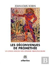 Les Deconvenues De Promethee ; La Longue Marche Vers L'Energie Thermonucleaire