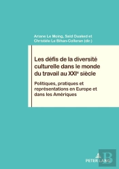 Les Défis De La Diversité Culturelle Dans Le Monde Du Travail Au Xxie Siècle