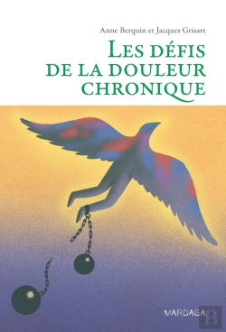 Bertrand.pt - Les Defis De La Douleur Chronique ; Comprendre Et Accompagner La Personne Vivant Des Douleurs Persistantes