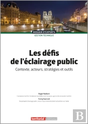 Les Défis De L'Éclairage Public : Contexte, Acteurs, Stratégies Et Outils