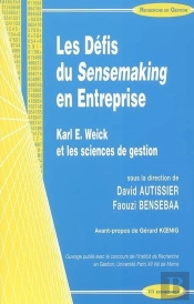 Les Défis Du Sensemaking En Entreprise ; Karl E. Weick Et Les Sciences De Gestion