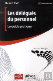 Les Delegues Du Personnel - Le Guide Pratique