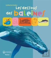 Les Dessous Des Baleines
