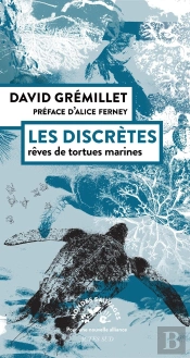 Les Discrètes : Rêves De Tortues Marines