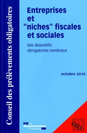 Les Dispositifs Derogatoires Applicables Aux Entreprises