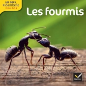 Les Docs Ribambelle Cycle 2 Edition 2014 - Les Fourmis