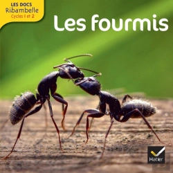Bertrand.pt - Les Docs Ribambelle Cycle 2 Edition 2014 - Les Fourmis