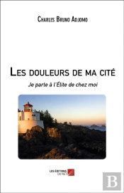 Les Douleurs De Ma Cité ; Je Parle À L'Élite De Chez Moi