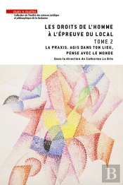 Les Droits De L'Homme À L'Épreuve Du Local Tome 2 ; La Praxis, 'Agis En Ton Lieu, Pense Avec Le Monde'