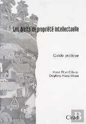 Les Droits De Propriété Intellectuelle ; Guide Pratique
