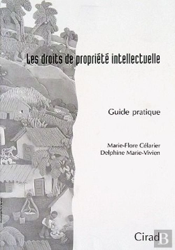 Bertrand.pt - Les Droits De Propriété Intellectuelle ; Guide Pratique