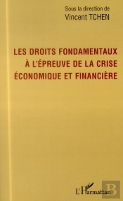 Les Droits Fondamentaux À L'Épreuve De La Crise Économique Et Financière