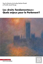 Les Droits Fondamentaux : Quels Enjeux Pour Le Parlement ?