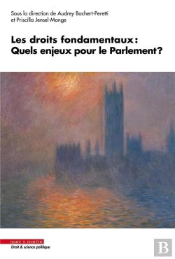 Bertrand.pt - Les Droits Fondamentaux : Quels Enjeux Pour Le Parlement ?