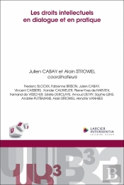 Les Droits Intellectuels En Dialogue Et En Pratique