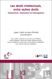 Les Droits Intellectuels, Entre Autres Droits : Intersections, Interactions Et Interrogations