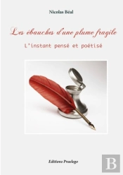 Les Ébauches D'Une Plume Fragile ; L'Instant Pensé Et Poétisé