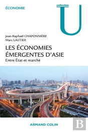 Les Économies Émergentes D'Asie ; Entre Etat Et Marché