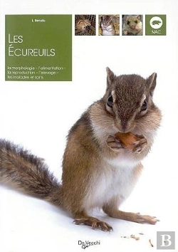 Bertrand.pt - Les Ecureuils