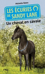 Les Ecuries De Sandy Lane - Numero 7 Un Cheval En  Cavale