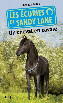Bertrand.pt - Les Ecuries De Sandy Lane - Numero 7 Un Cheval En  Cavale