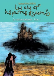Les Élus Et Les Pierres Stellaires ; Le Château Embrumé T.2