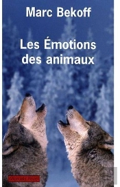 Les Émotions Des Animaux