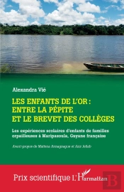 Les Enfants De L'Or : Entre La Pépite Et Le Brevet Des Collèges : Les Expériences Scolaires D'Enfants De Familles Orpailleuses À Maripasoula, Guyane Française