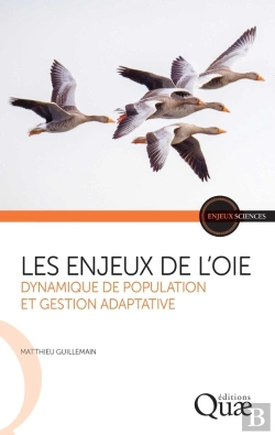 Bertrand.pt - Les Enjeux De L'Oie : Dynamique De Population Et Gestion Adaptative