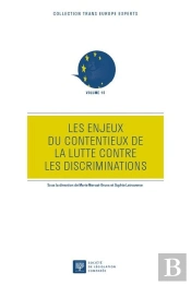 Les Enjeux Du Contentieux De La Lutte Contre Les Discriminations