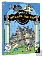 Les Enquêtes D'Arsène Malin Et Hercule Noirot : Une Mystérieuse Disparition