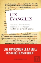 Les Evangiles À Partir De La  Langue De Jésus