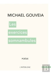 Les Exercices Somnambules