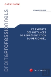 Les Experts Des Instances De Représentation Du Personnel