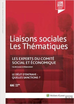 Bertrand.pt - Les Experts Du Comité Social Et Économique N°66 ; Cas De Recours Et Financement (2e Édition)