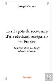 Les Fagots De Souvenirs D'Un Étudiant Sénégalais En France
