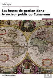 Les Fautes De Gestion Dans Le Secteur Public Au Cameroun