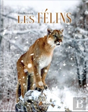 Les Félins