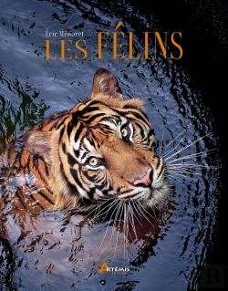 Bertrand.pt - Les Félins
