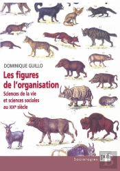 Les Figures De L'Organisation ; Sciences De La Vie Et Sciences Sociales Au Xixe Siècle