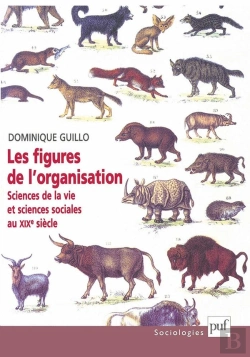 Bertrand.pt - Les Figures De L'Organisation ; Sciences De La Vie Et Sciences Sociales Au Xixe Siècle