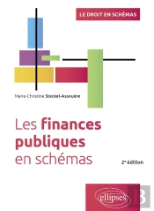 Les Finances Publiques En Schémas : À Jour Au 15 Octobre 2023