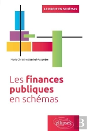 Les Finances Publiques En Schémas